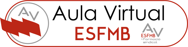 Aulavirtual ESFMB